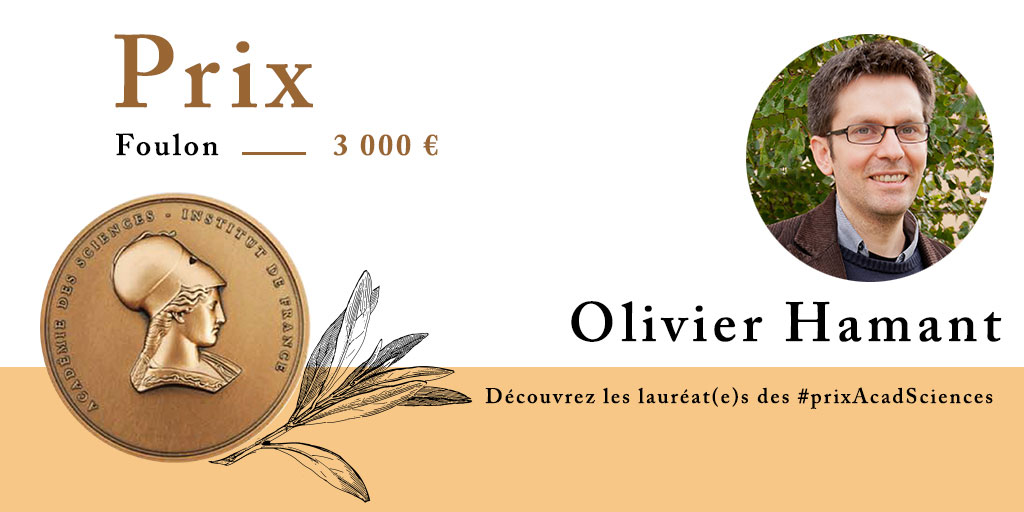 Olivier Hamant