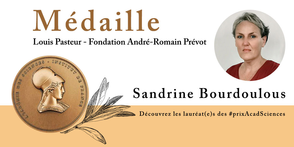 Sandrine Bourdoulous