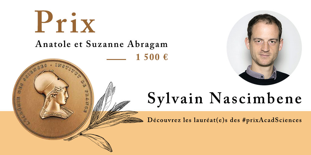 Sylvain Nascimbene 