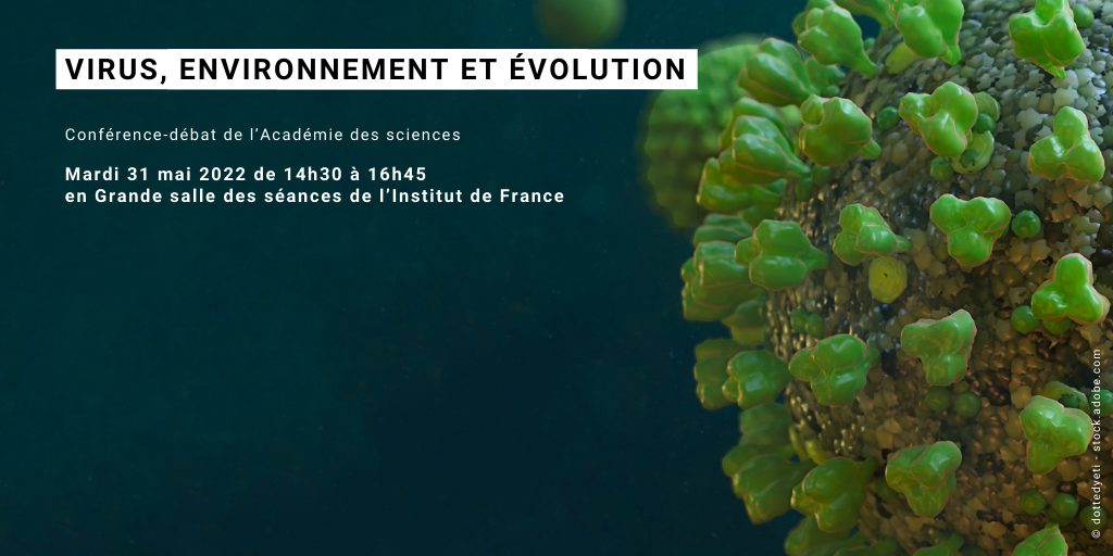 Virus, environnement et évolution