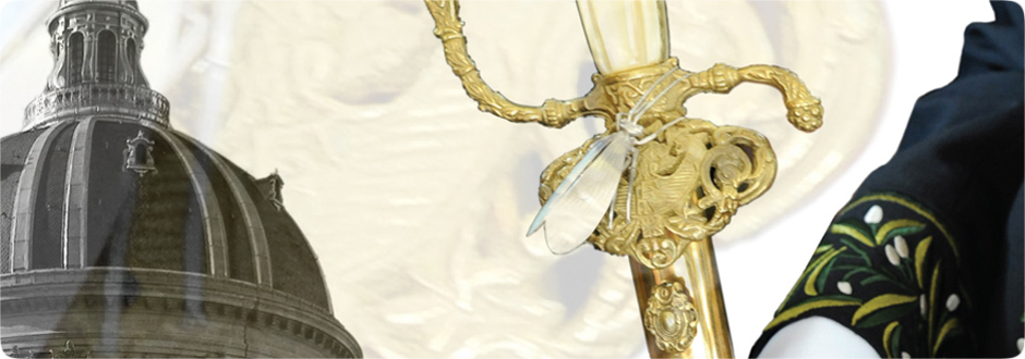 Cérémonie de réception des membres élus en 2017