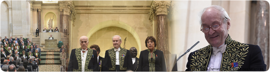 Ouverture de la première cérémonie de remise des prix 2014 - Philippe Taquet